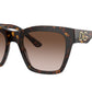 sunglasses48 : DG4384-F 50213 53 Dolce & Gabanna Womens Sunglasses Fit M/L