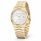 TechnoMarine TERRA NOVA Men's Watch - 42mm. Gold
