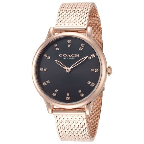 Coach Chelsea Women's Watch